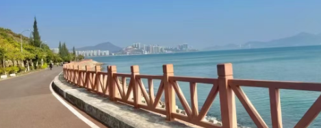 专业教练赋能,团队凝聚力显著提升